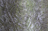 Llanywern fibreglass roof work